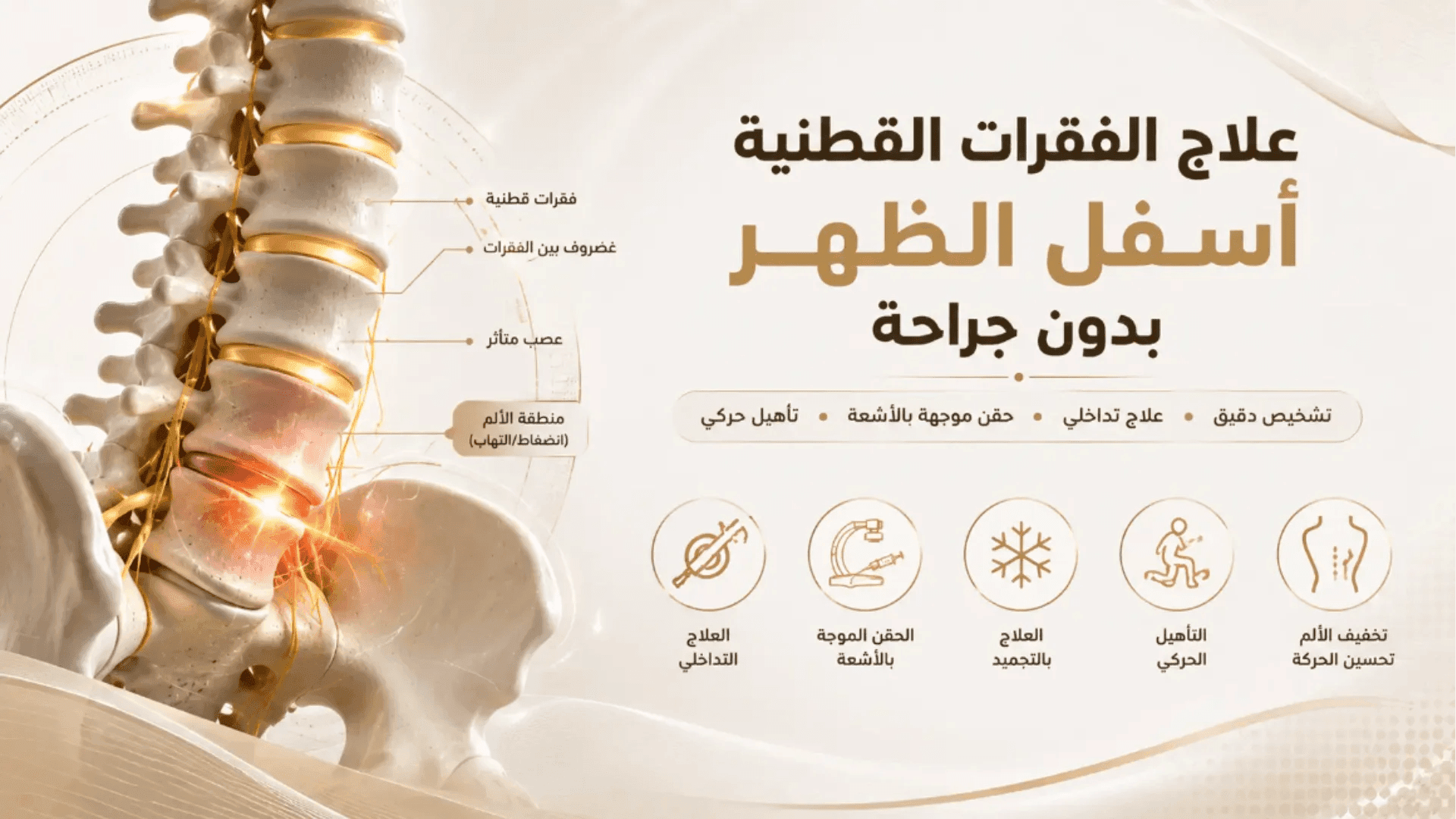 الفقرات القطنية